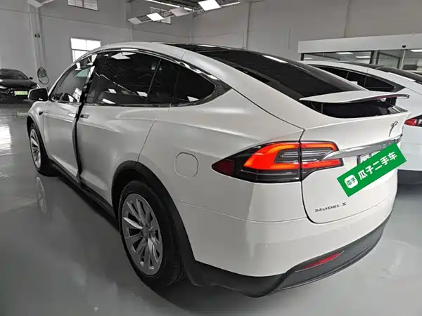 Tesla Model X 2019