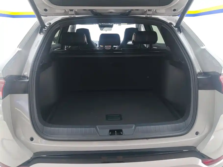 BYD Song PLUS New Energy 2023 — фото 4