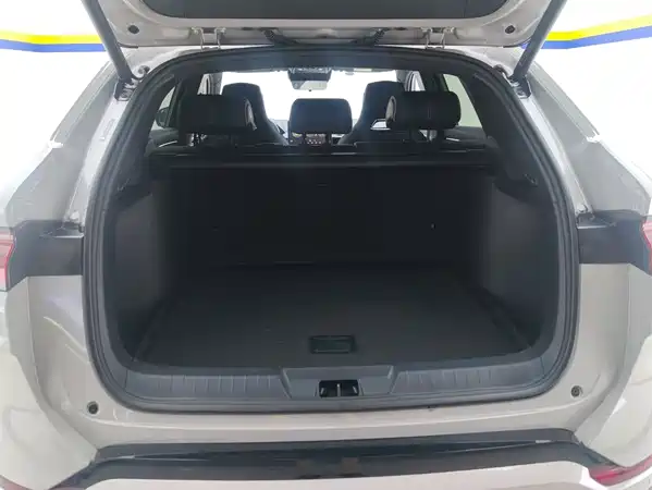 BYD Song PLUS New Energy 2023