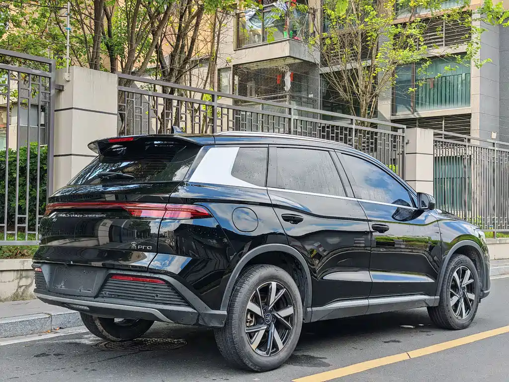 BYD Pro New Energy 2024