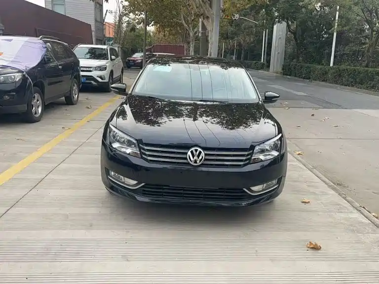 Volkswagen Passat 2014 — фото 1
