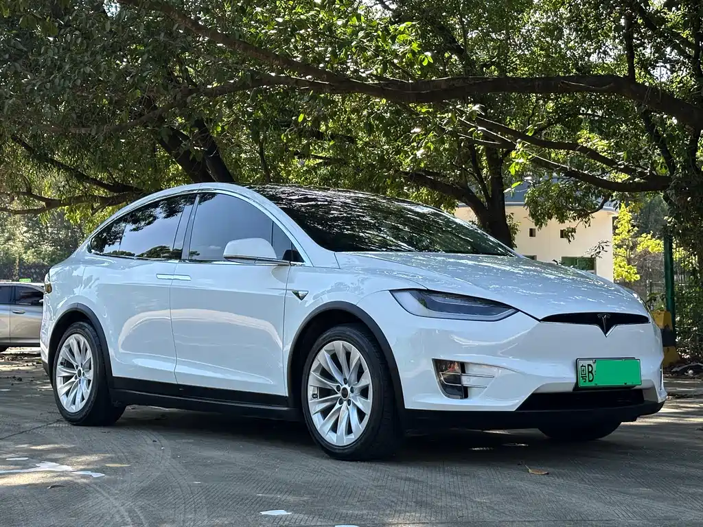Tesla Model X 2016 — фото 6