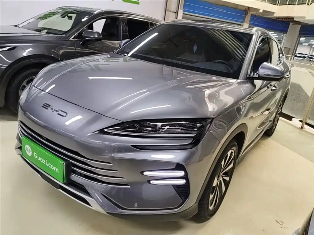 BYD PLUS New Energy 2024 — фото 2