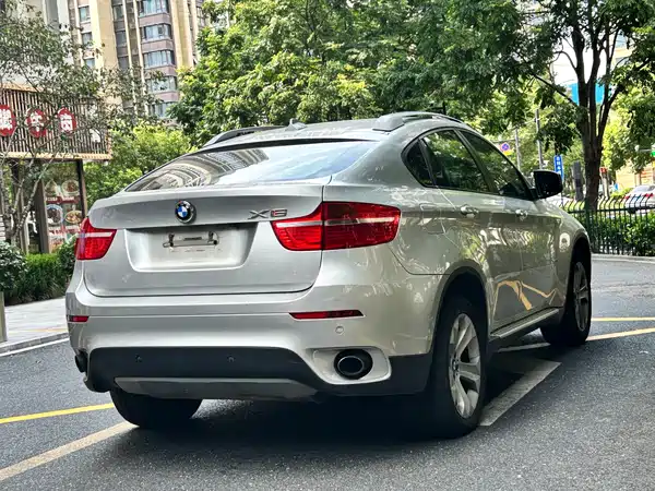 BMW X6 2010