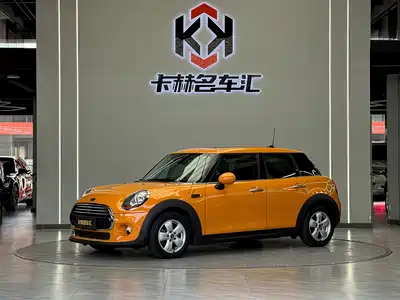 MINI MINI 2015