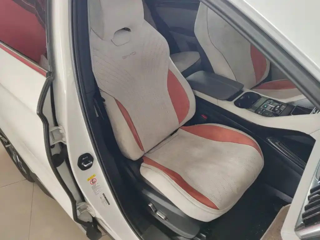BYD PLUS New Energy 2025 — фото 25