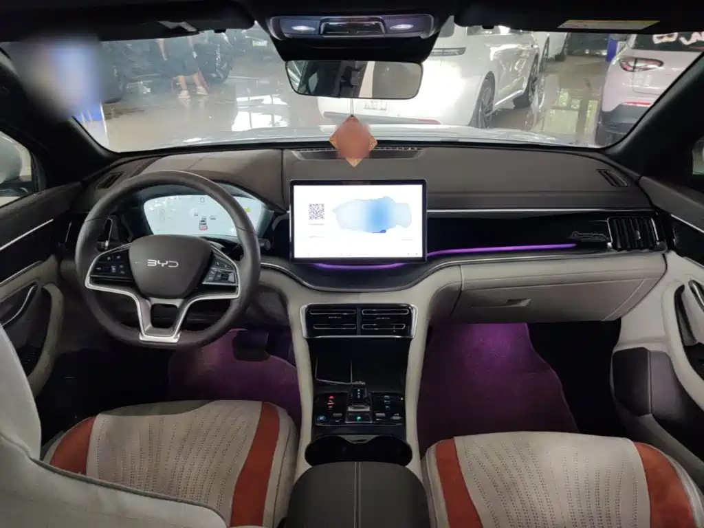 BYD PLUS New Energy 2025 — фото 10