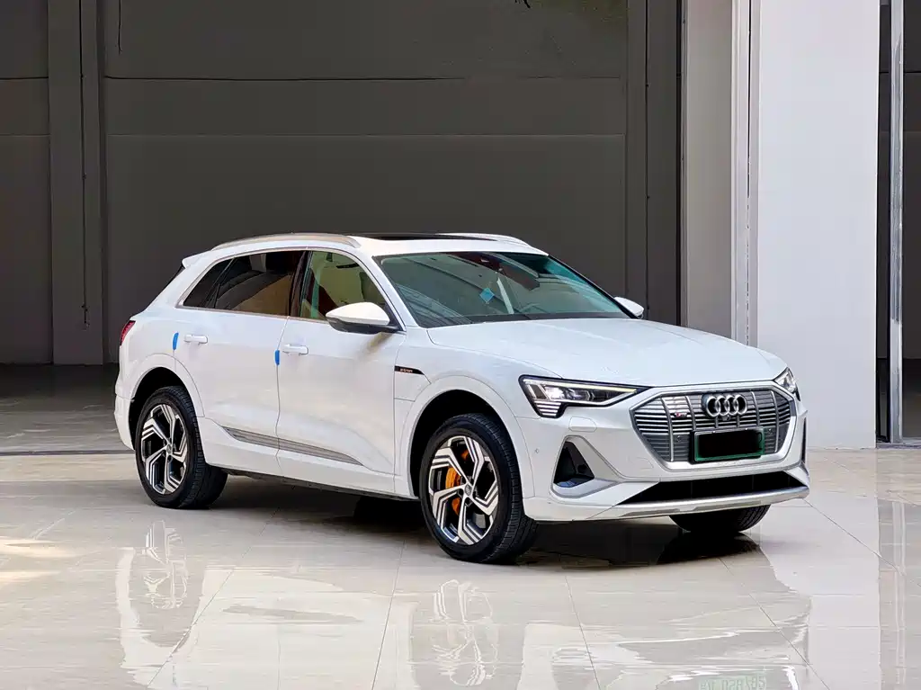 Audi e-tron 2022