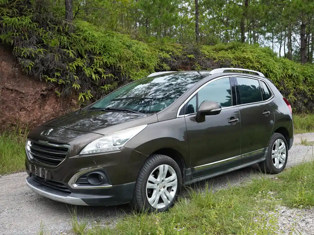 Peugeot 3008 2016 — фото 1