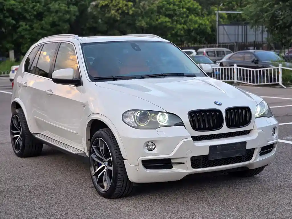 BMW X5 2010 — фото 3
