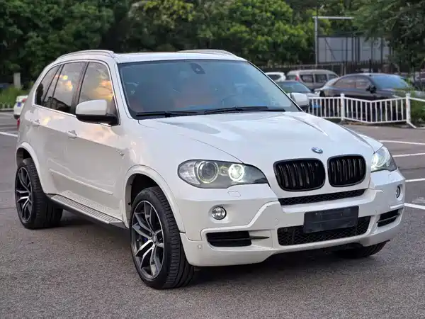 BMW X5 2010