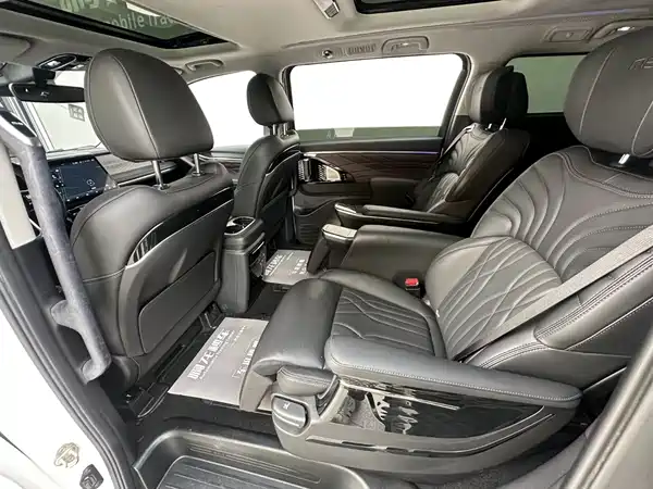GAC Trumpchi E9 2024