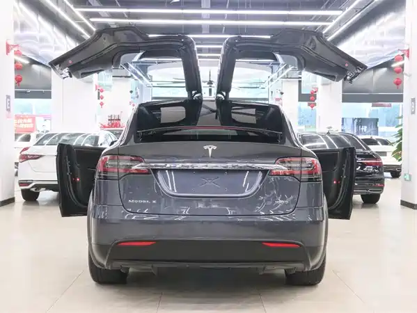 Tesla Model X 2018