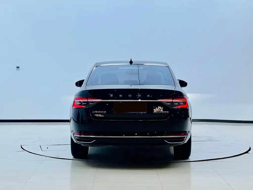 Skoda Speedy 2024