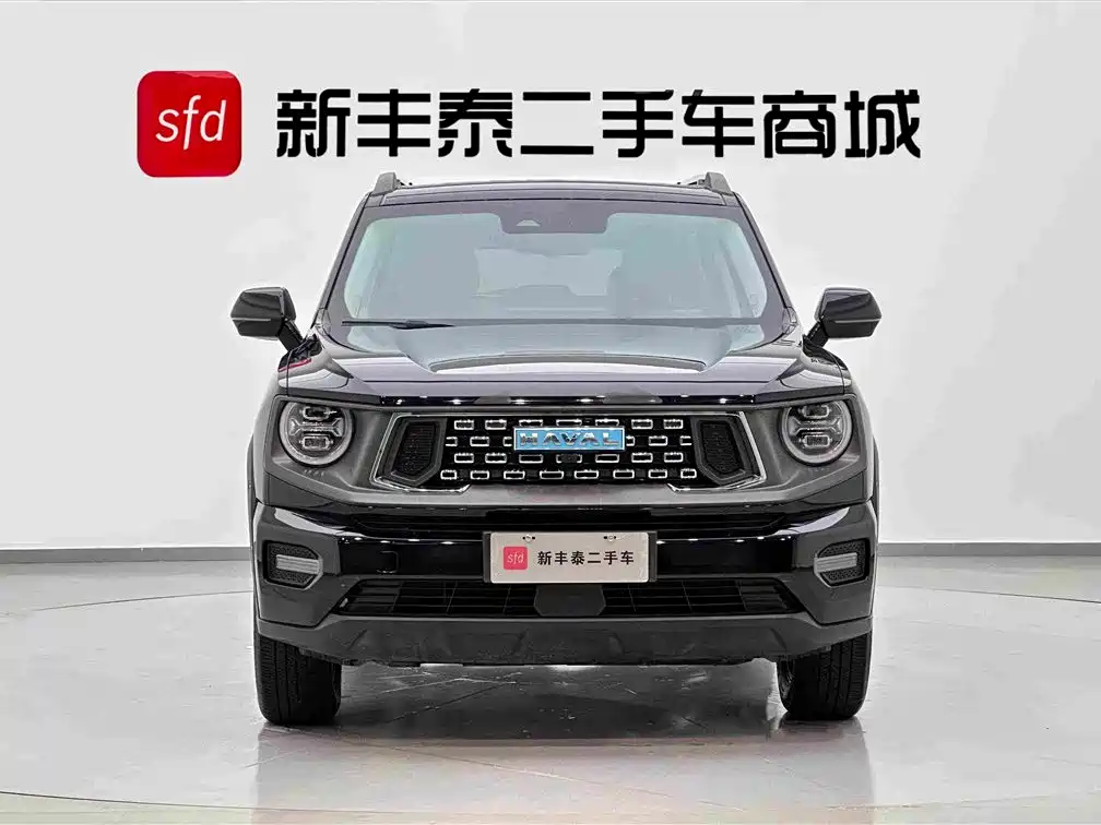 Haval Big Dog PLUS New Energy 2023 — фото 2