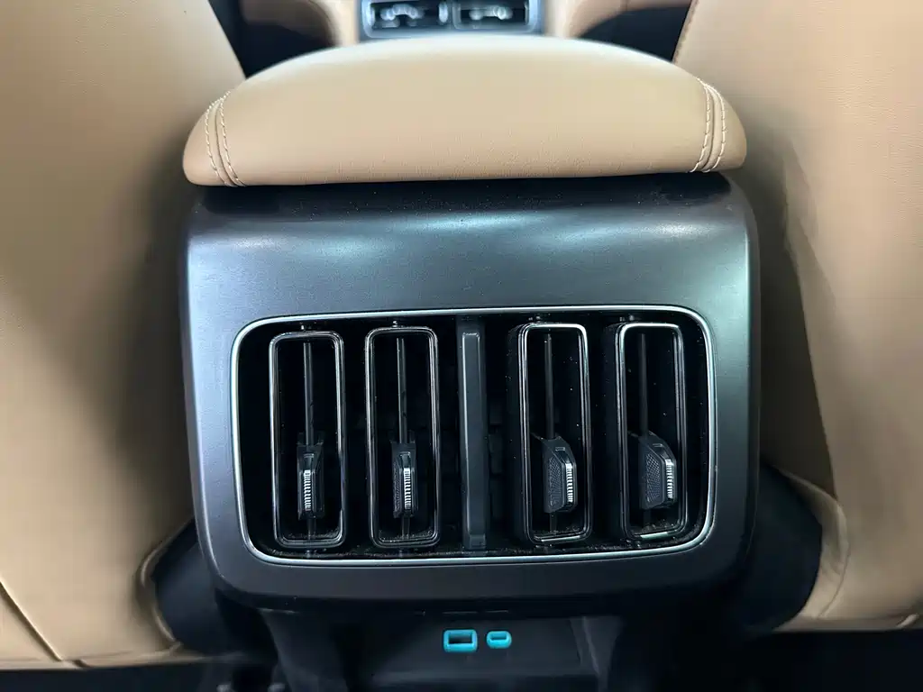 BYD L DM-i 2024 — фото 17