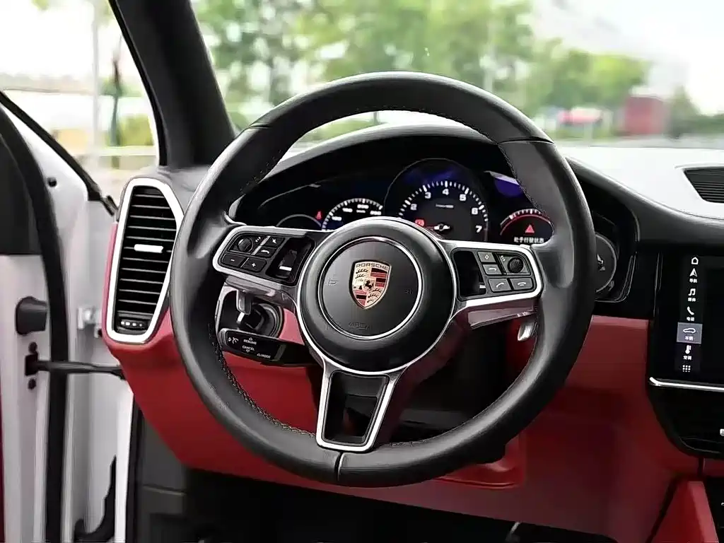 Porsche Cayenne 2020 — фото 13