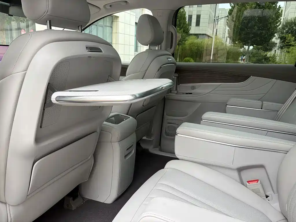Roewe iMAX8 New Energy 2025 — фото 24