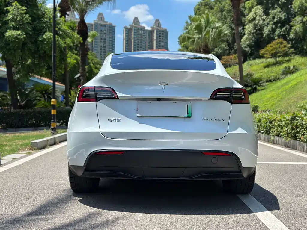 Tesla Model Y 2024 — фото 15