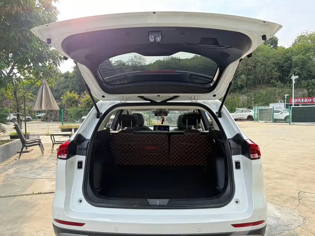 Haval H6 2023 — фото 19
