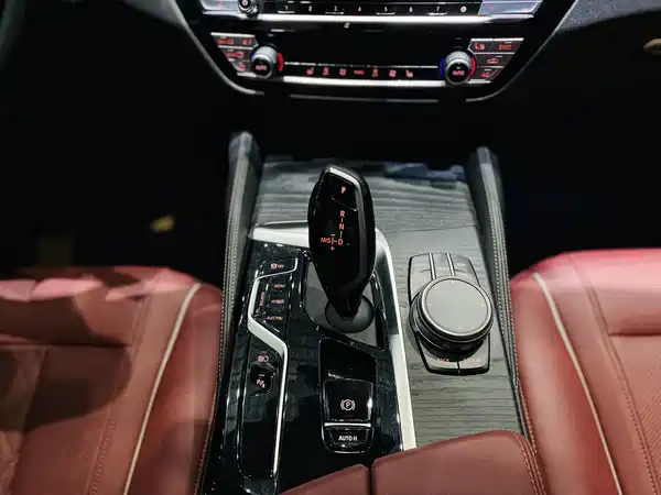 BMW 5 Series New Energy 2021