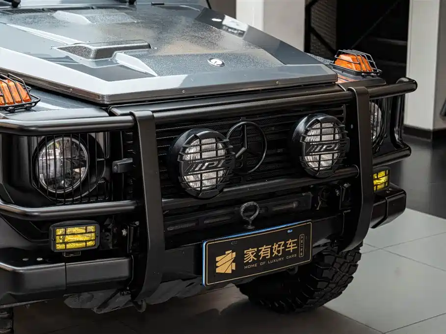 Mercedes-Benz G-Class 2010 — фото 28