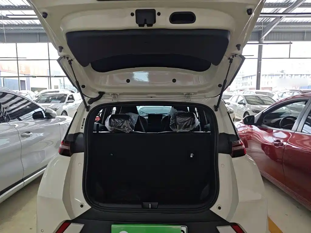 BYD Seagull 2024 — фото 19