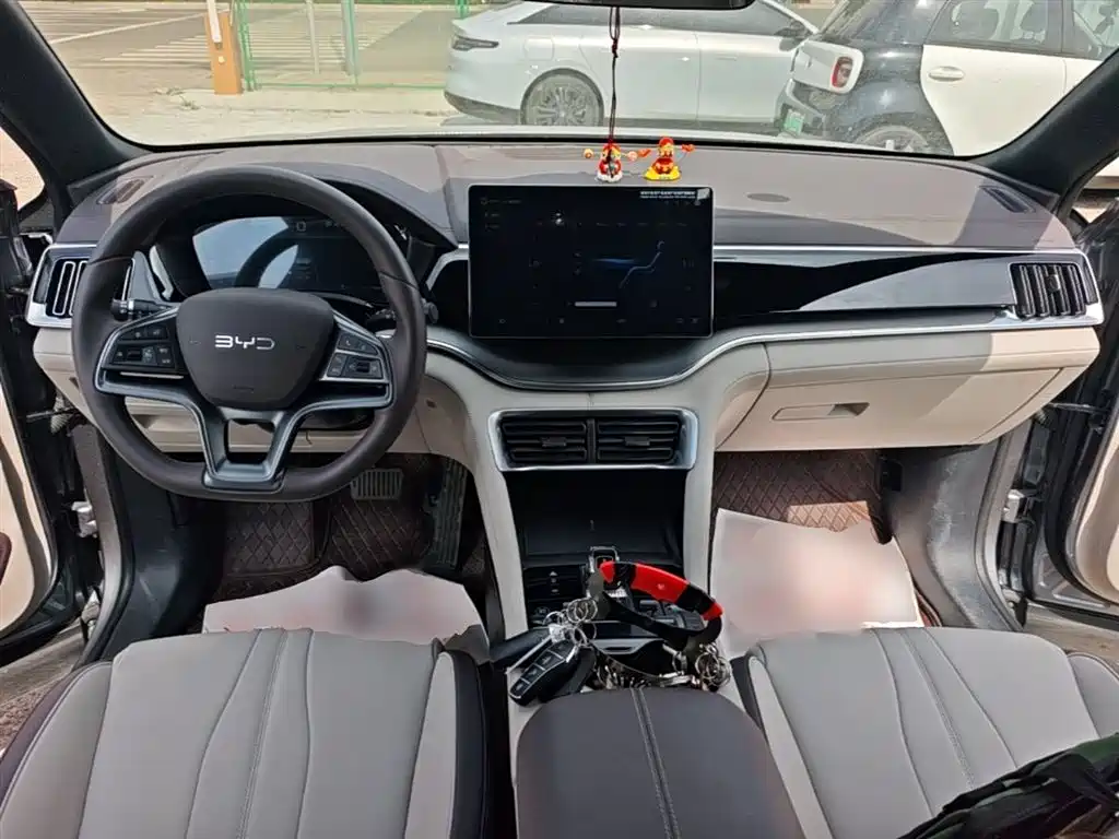BYD PLUS New Energy 2024 — фото 10