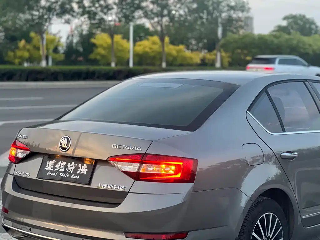 Skoda Octavia 2018 — фото 17
