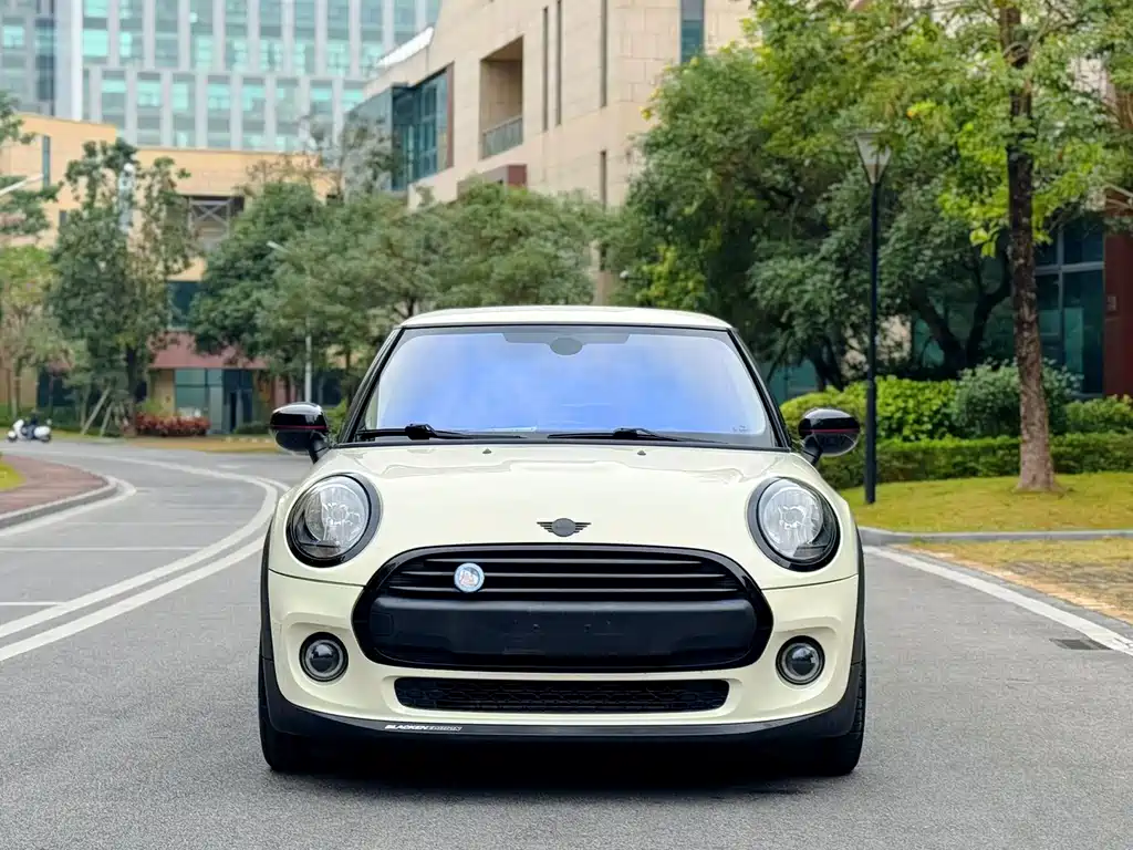 MINI MINI 2020