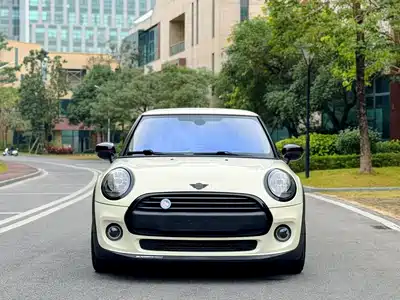 MINI MINI 2020