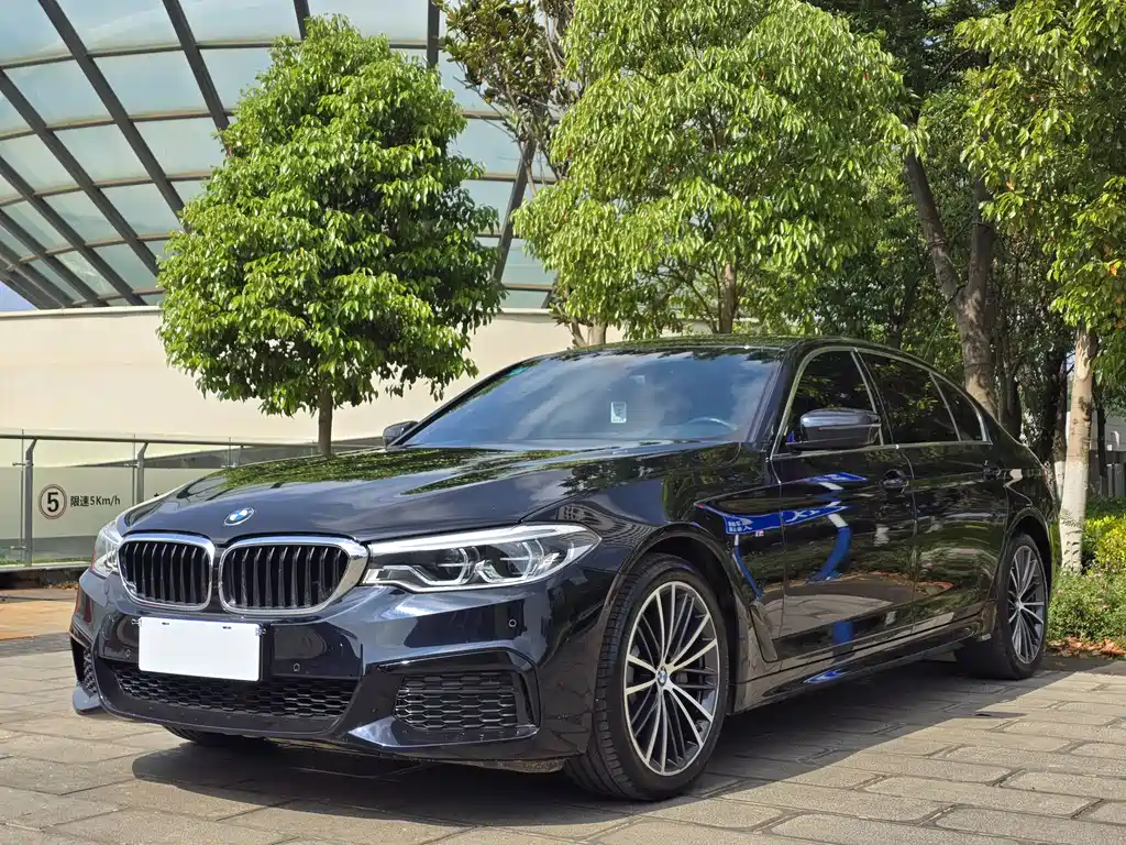 BMW 5 Series 2020 — фото 1