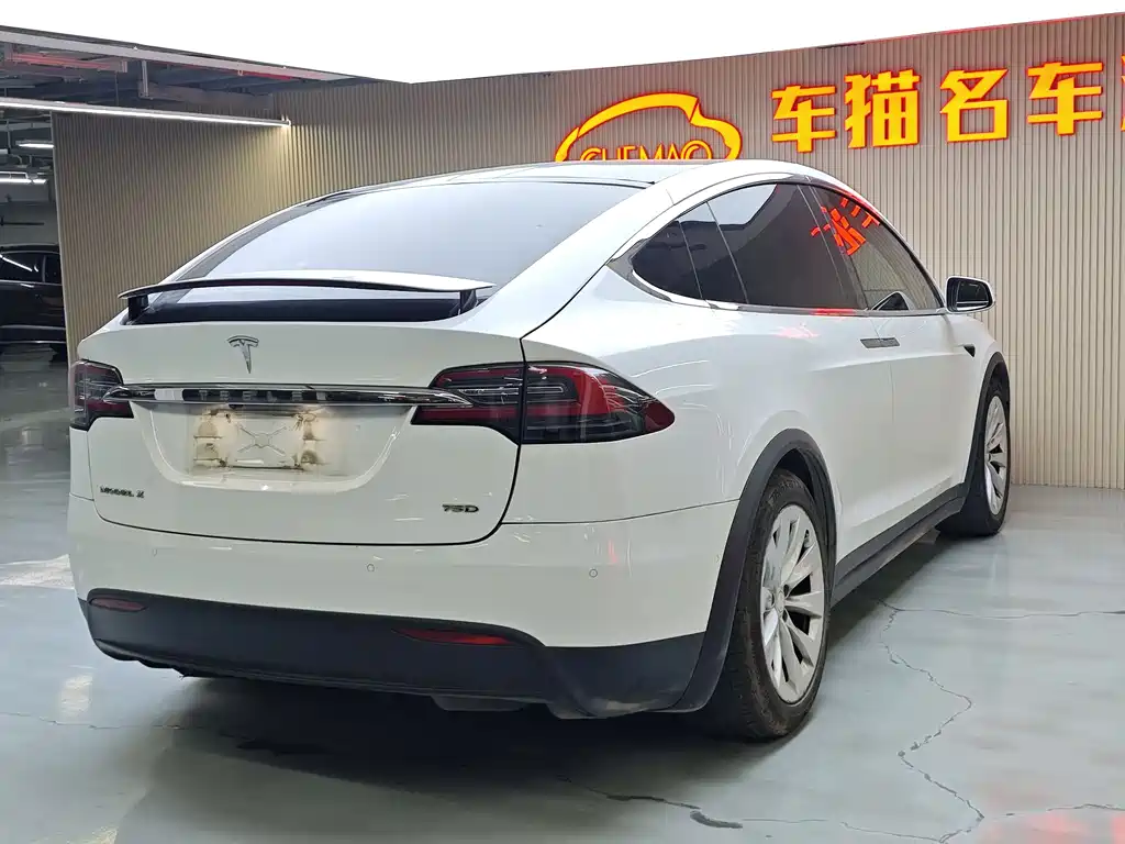 Tesla Model X 2017 — фото 15