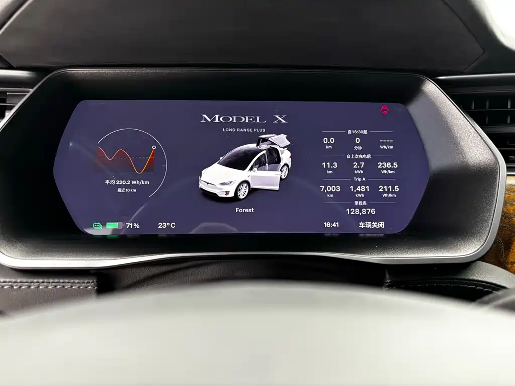 Tesla Model X 2020 — фото 20
