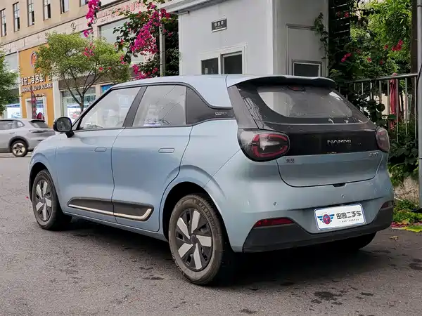 Dongfeng Nano 01 2024