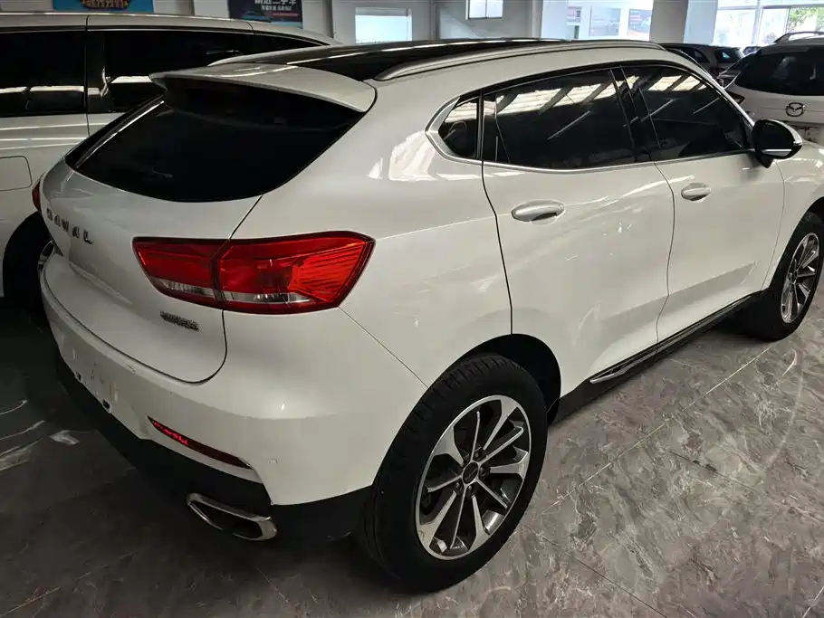 Haval F5 2020 — фото 3