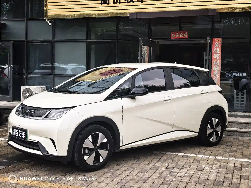 BYD Dolphin 2023 — фото 4