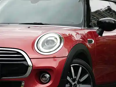 MINI MINI 2020