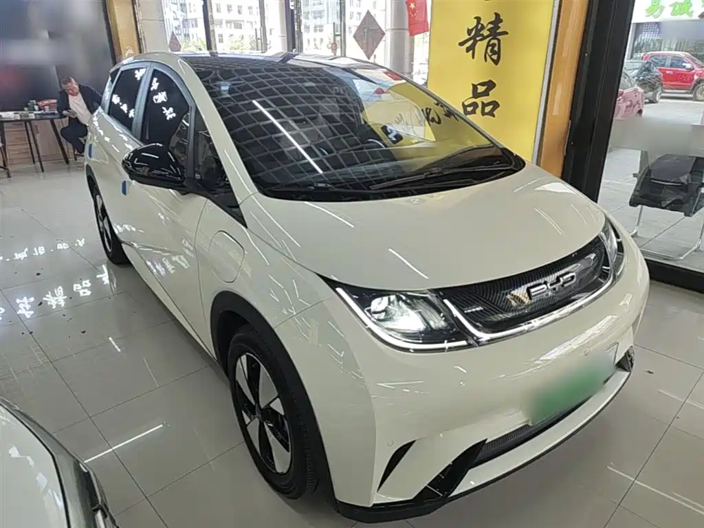 BYD Dolphin 2023 — фото 4
