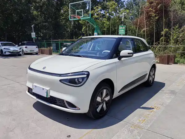 Dongfeng Nano 01 2026