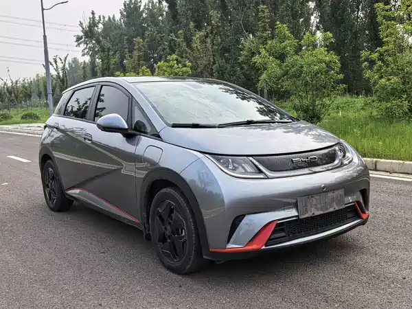 BYD Dolphin 2022