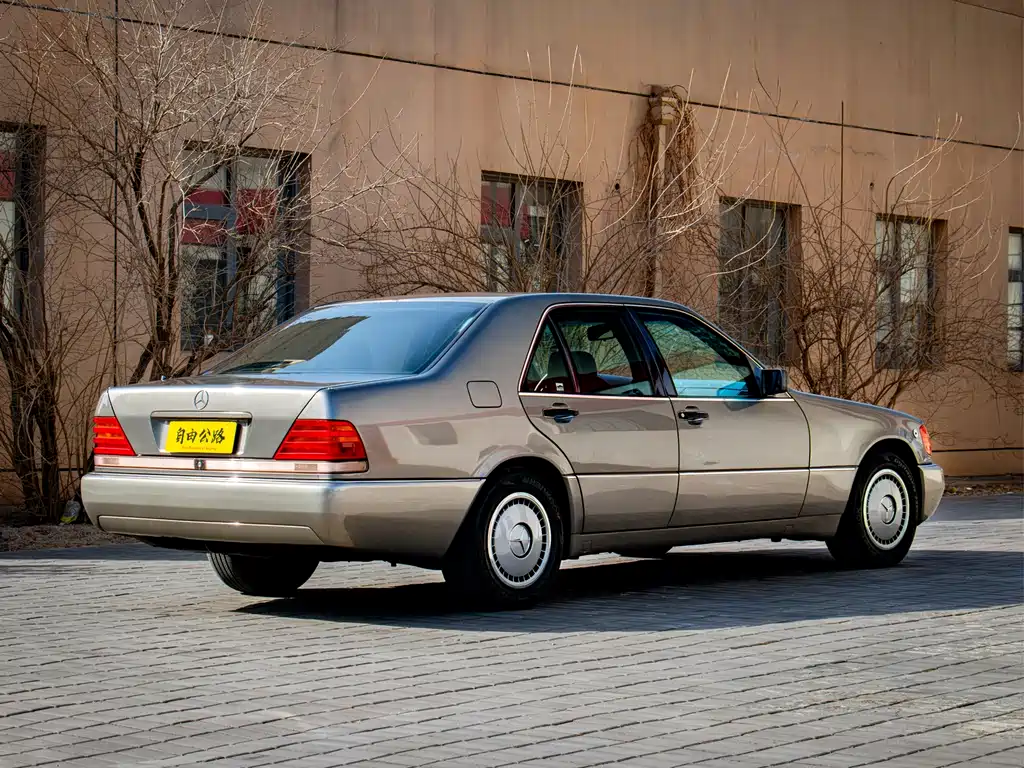 Mercedes-Benz S-Class 1993 — фото 14