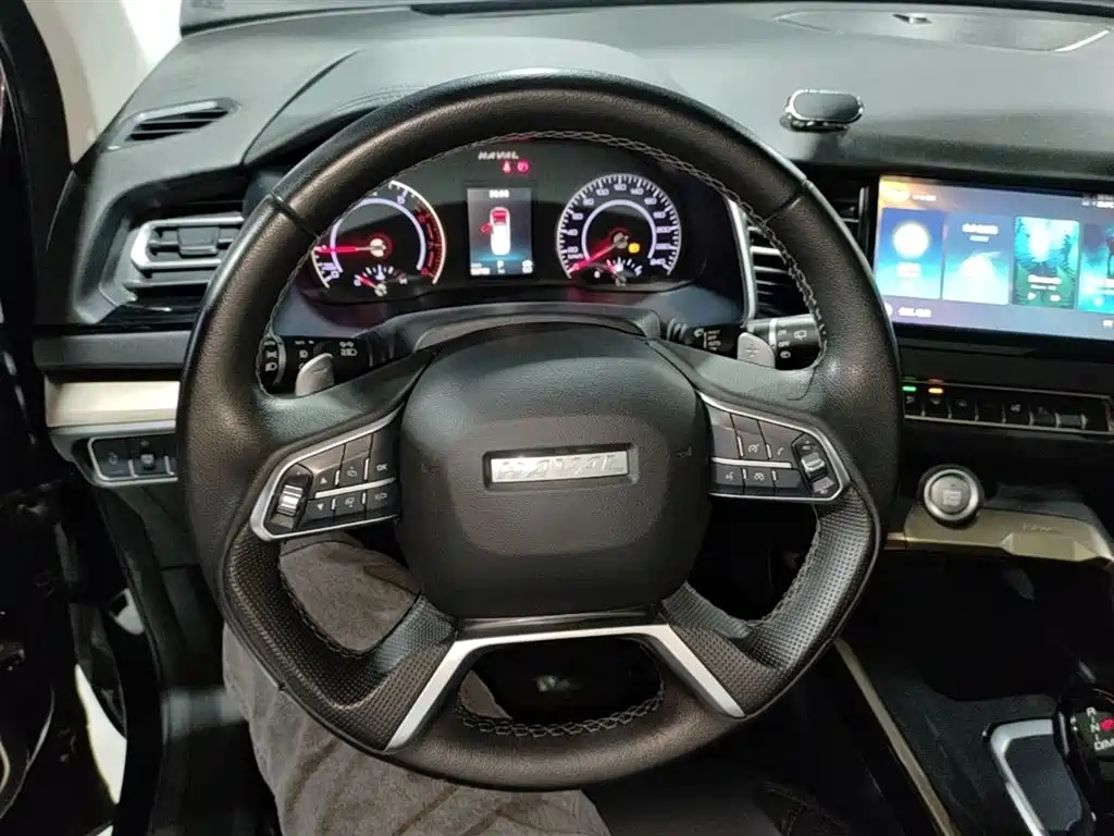 Haval H6 2019 — фото 11