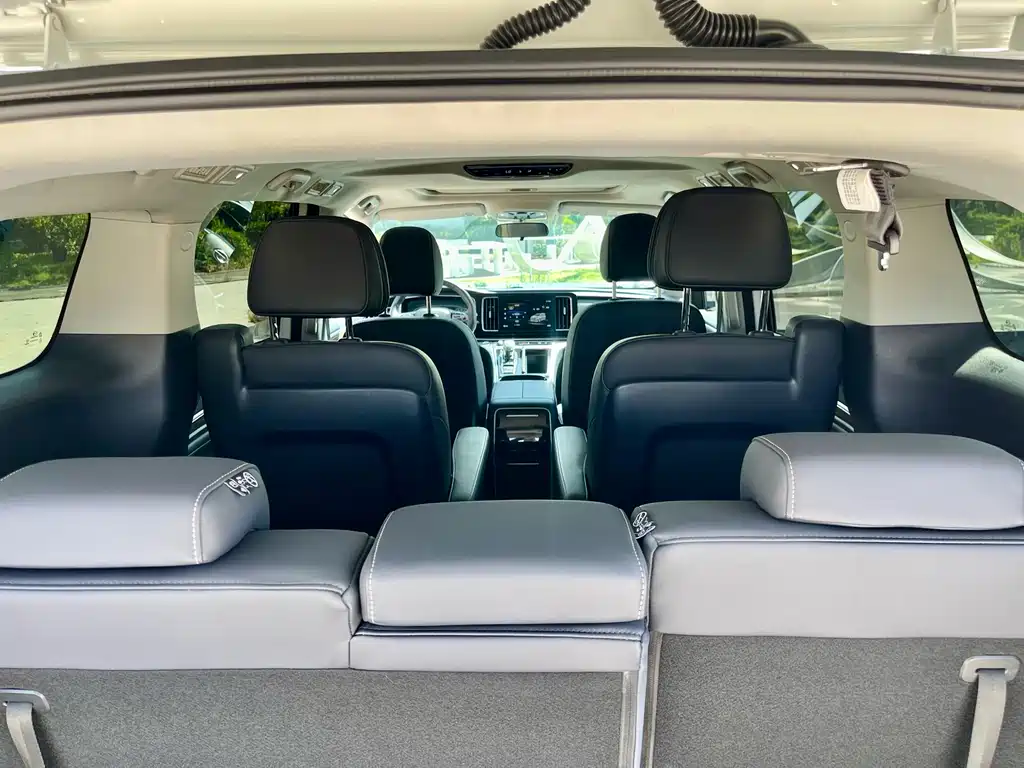 GAC Motor Trumpchi M8 2024 — фото 20