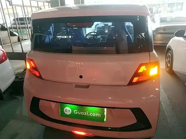 Dongfeng Scenery MINIEV 2022
