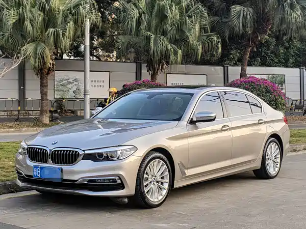 BMW 5 Series 2019