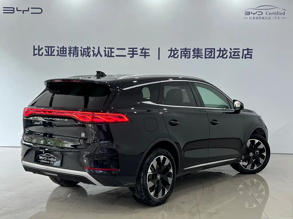 BYD Tang New Energy 2024 — фото 14