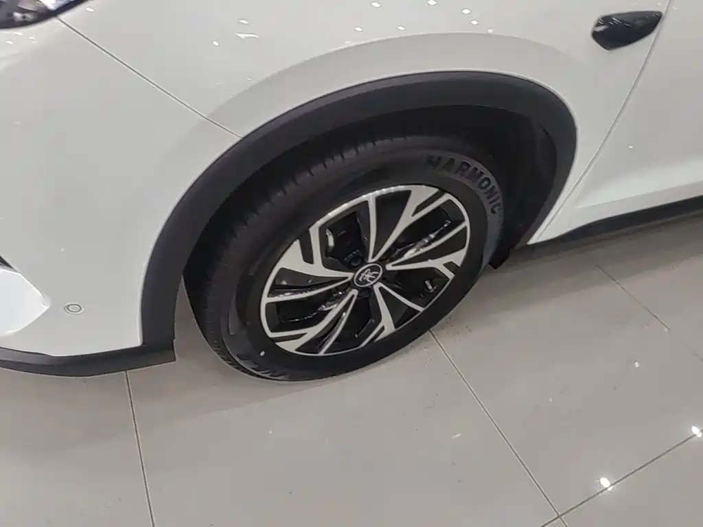 BYD Song Pro New Energy 2025 — фото 23