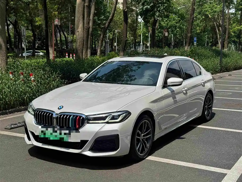 BMW 5 Series New Energy 2021