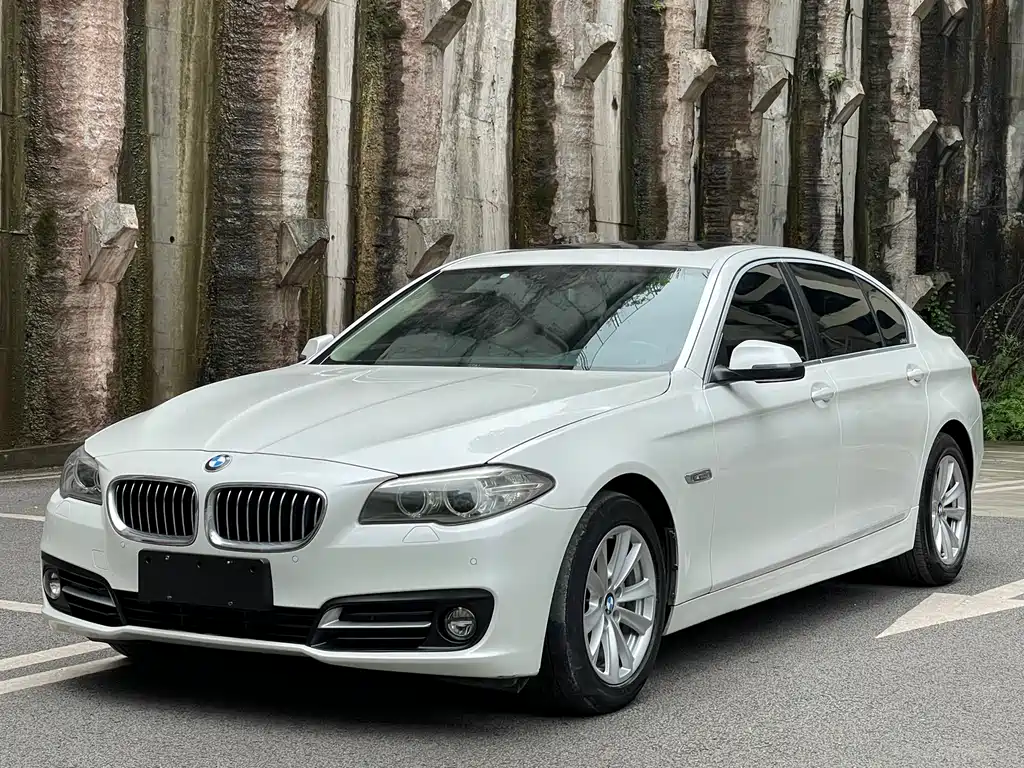 BMW 5 Series 2015 — фото 1